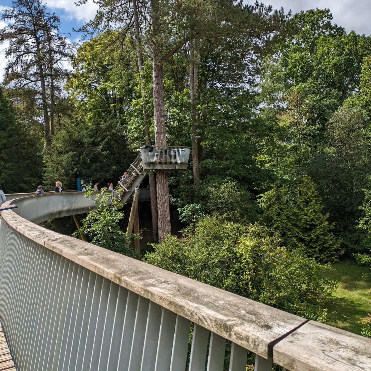 Fabulous <a href="/RelishRunning/">Relish Running Races</a> Westonbirt 10k today - loved it!