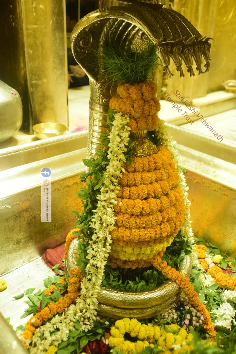 Shri Kashi Vishwanath Temple Trust tweet media