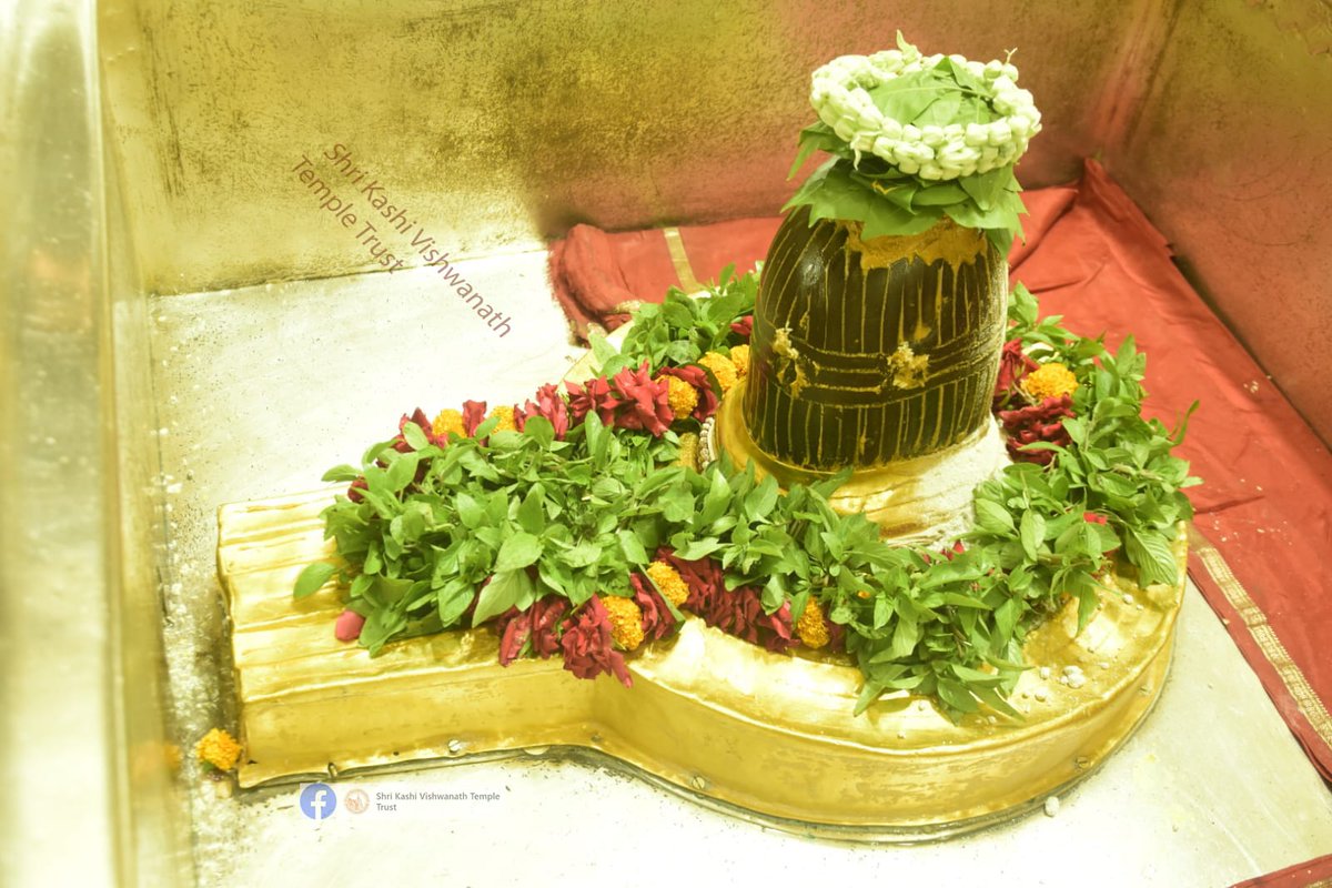 Shri Kashi Vishwanath Temple Trust tweet media