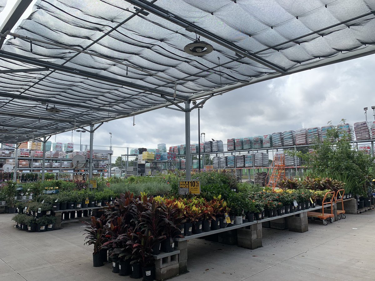 BryanFTHD tweet media