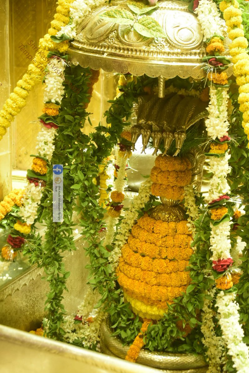 Shri Kashi Vishwanath Temple Trust tweet media