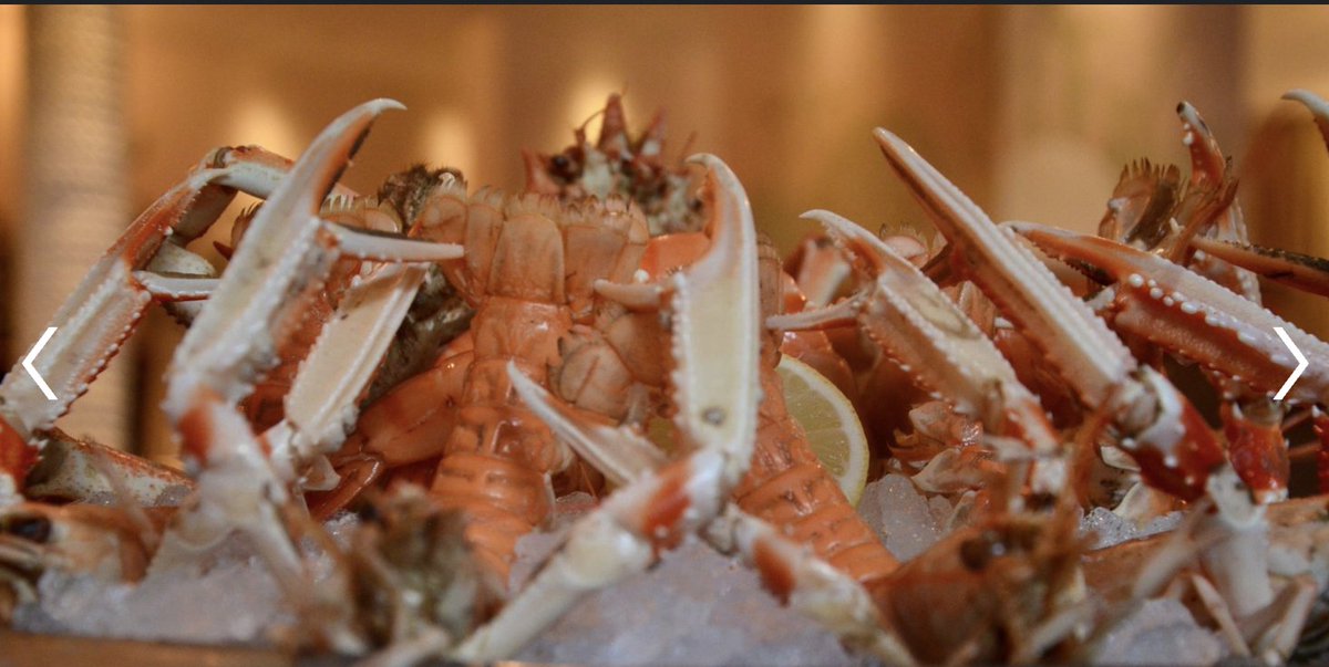 ParisArtDeVivre's tweet photo. Freshest fish & seafood in #Paris #iconic brasserie on place des Ternes. Open 7 days a week . Quality products combined with chef Cédric Moizan’s talent.
#LaLorraine #Askyourconcierge #Inservicethroughfriendship
#Lefooding #restaurant https://t.co/4Jsuj5Z3KX