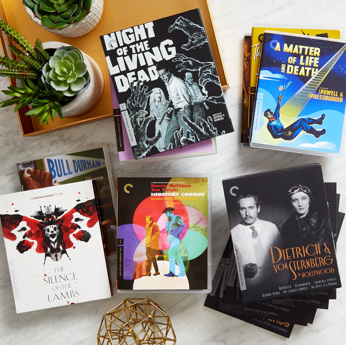 BNManOWar's tweet photo. The Criterion Collection sale is also back! What a weekend!

From now until July 29th, pick up any of your favorite Criterion titles for 50% off!

Don't forget to ask how you can earn double or triple stamps with our Premium and Rewards programs!!

#criterion #criterioncollection https://t.co/RO9nW9R0Xn