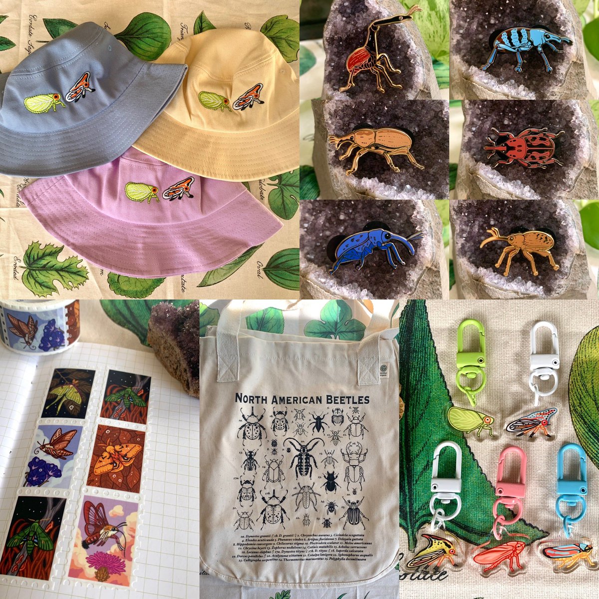fossilforager's tweet photo. Summer Shop Update is LIVE! 🌼 So many new nature-themed goods are available - lots of restocked favorites too! 🔗 below! 🪲✨ (RTs are super appreciated 💖) https://t.co/txzqQFWcHr