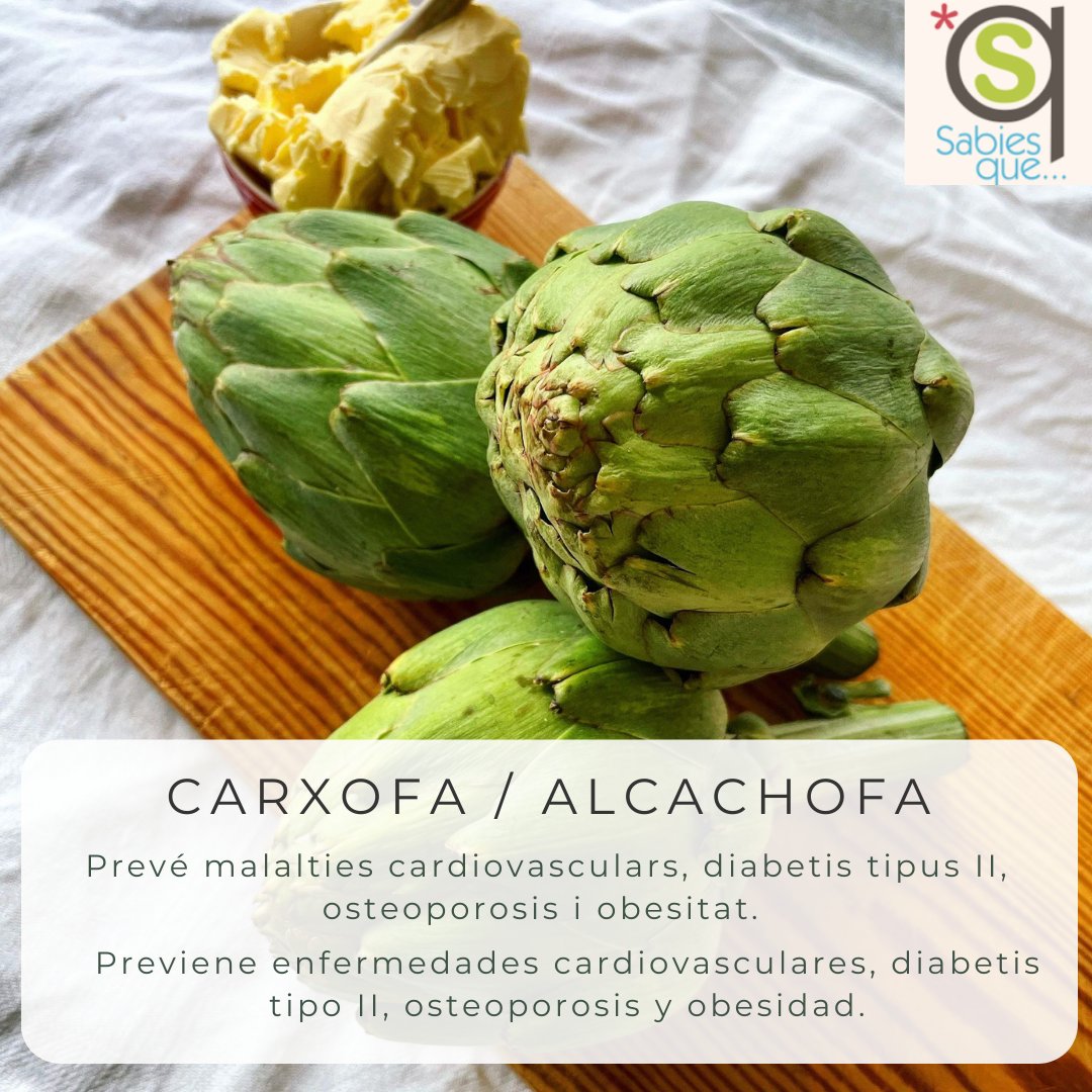 Sabiesque's tweet photo. La alcachofa es conocida por su capacidad para estimular la producción de bilis en el hígado, lo que ayuda a mejorar la digestión de las grasas y promueve un sistema digestivo saludable.

Síguenos en instagram @sabiesque https://t.co/Vq8MkSdZ8D