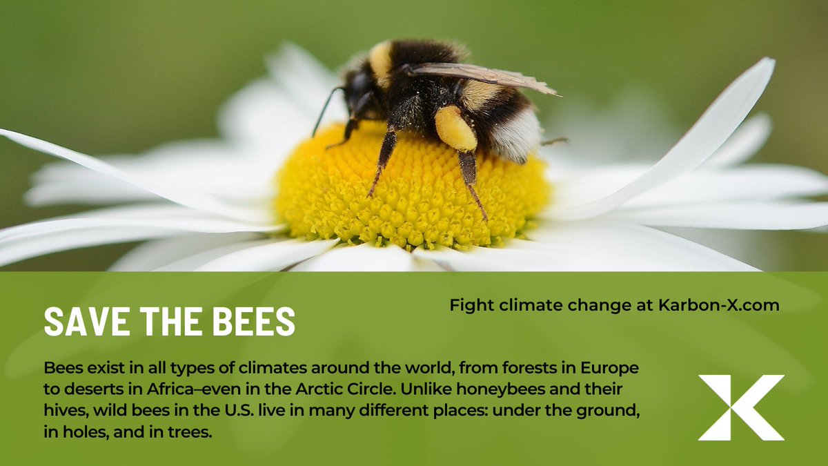 Karbon-X tweet media