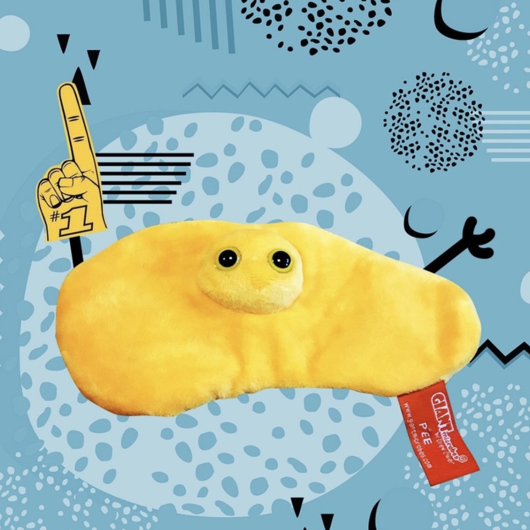 GIANTmicrobes's tweet photo. 🟡BACK IN STOCK🟡 Urine for a treat! Our cuddly Pee plush is #️⃣1️⃣.
Shop now: https://t.co/oPPK6xBwwU
#GIANTmicrobes #pee #UrineForATreat #BackInStock #gaggifts #bladder #microbiology #biology #bodilyfunctions #peejokes https://t.co/5XhDOF8zJt