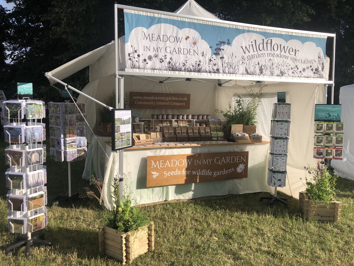 Amnesty International tweet media