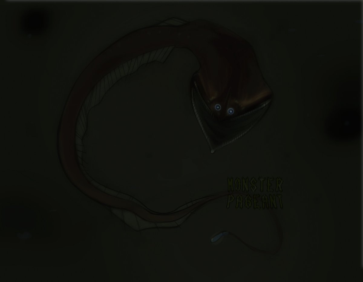 MonsterPageant's tweet photo. @Ashtastica A lurking gulper eel I drew for @Steefun_N https://t.co/5ZteMNupkh