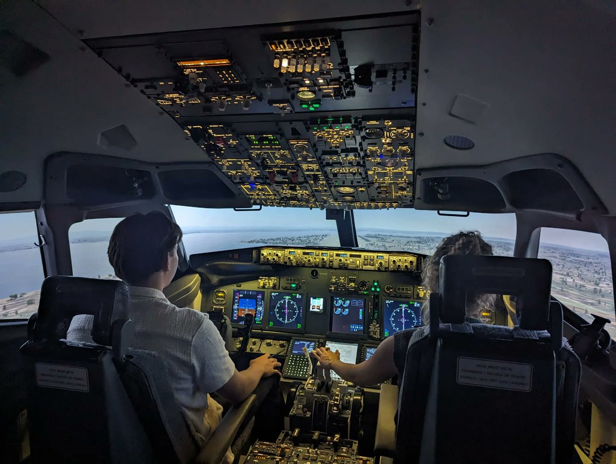 SimFlying tweet media
