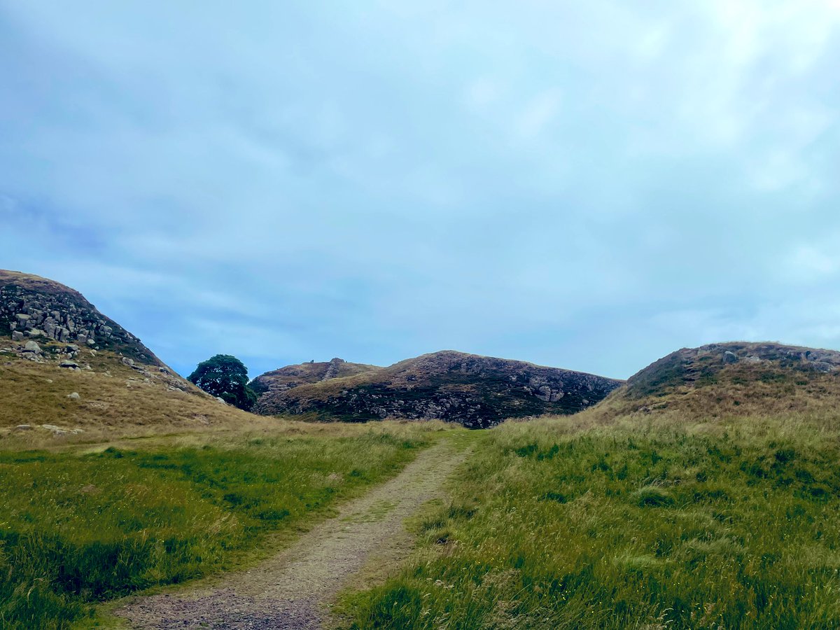 Laura Tullock tweet media