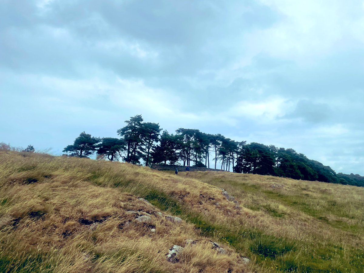 Laura Tullock tweet media