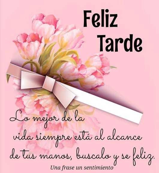LorenzaDC's tweet photo. Buenas tardes https://t.co/lTHcz5tfal