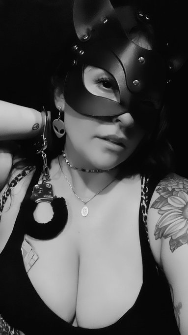 Happy Caturday 🖤 https://t.co/qZJNrUw3eJ<a href="/tag/feet"class="tags"><span>#feet</span></a><a href="/tag/toetease"class="tags"><span>#toetease</span></a><a href="/tag/footfet%C4%B1sh"class="tags"><span>#footfetısh</span></a>