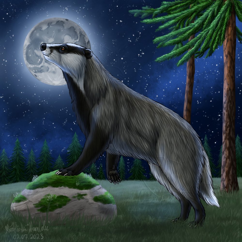 narncolie's tweet photo. European badger https://t.co/JKhBvdvcqp