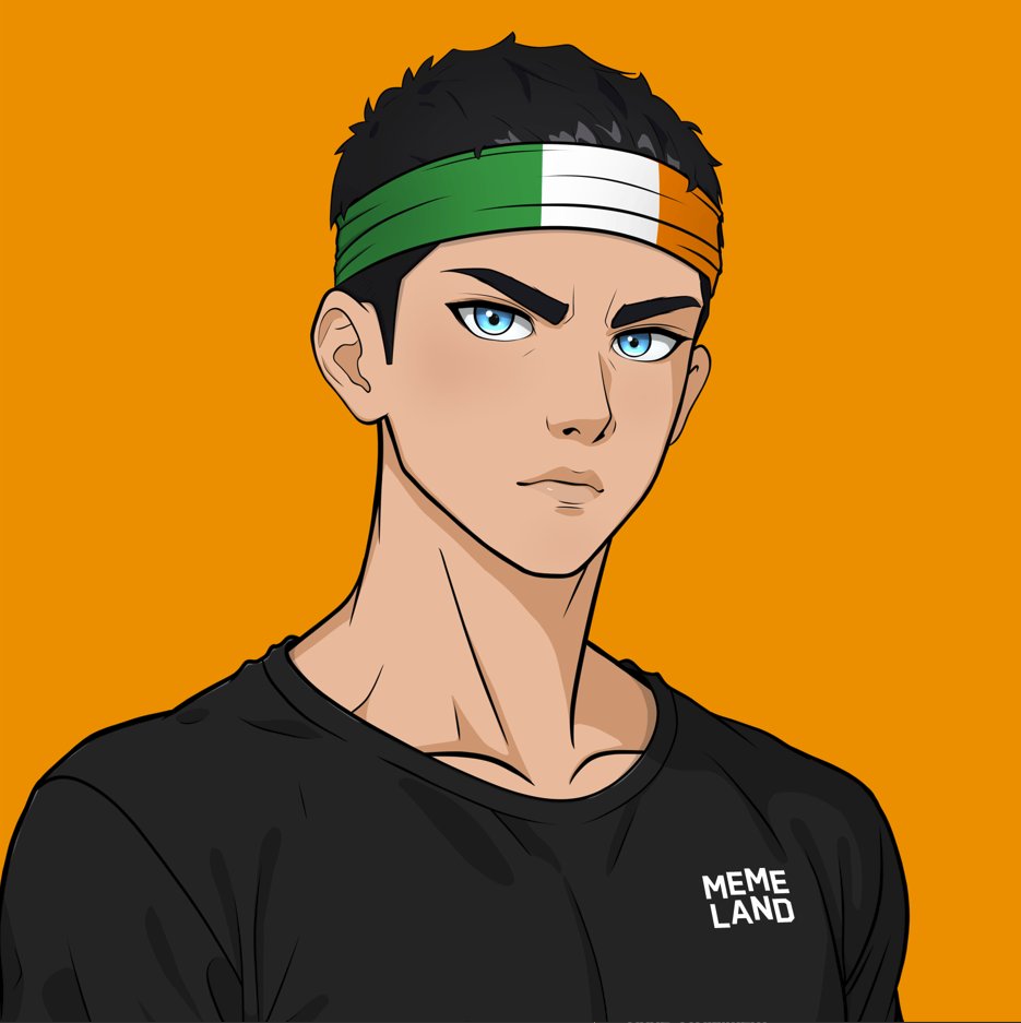 FrankieQuigs's tweet photo. Finally getting to playing around with the customizable traits. #IrishCaptain https://t.co/gICse8Df3o