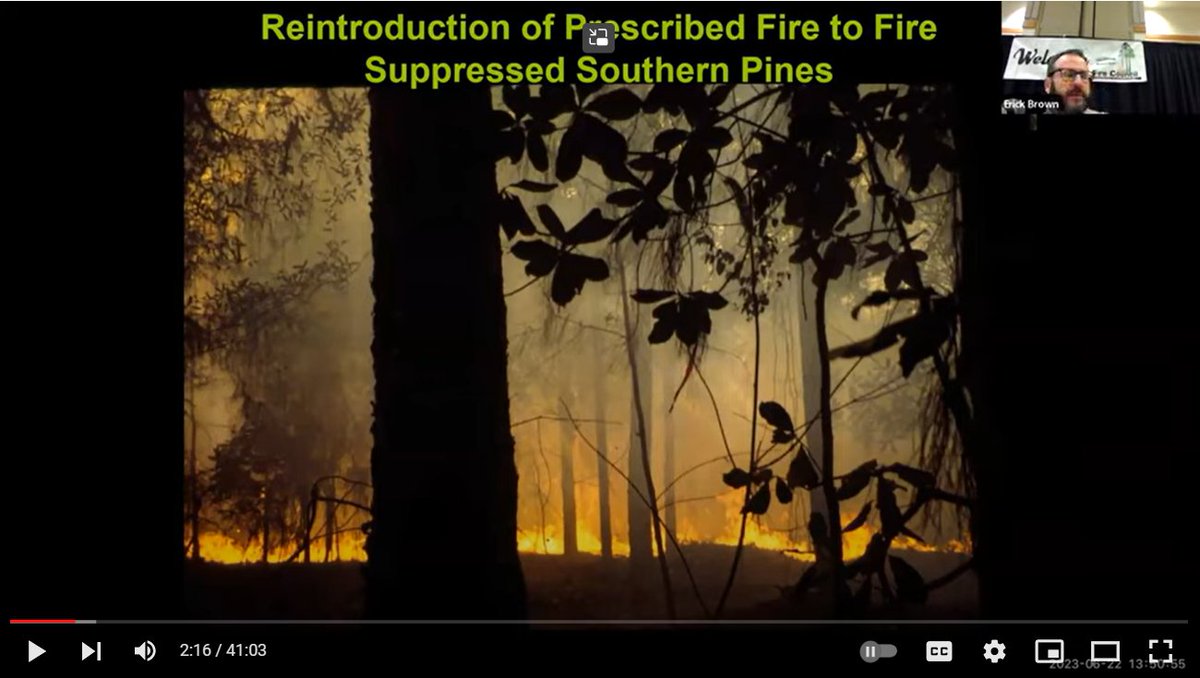 Good stuff 'Reintroduction of Prescribed Fire to Fire Suppressed Pines - North Georgia Prescribed Fire Council' @SEFireScience youtu.be/Pl98JiUN10Q @GeorgiaWild @CoastalGADNR @GaTrees