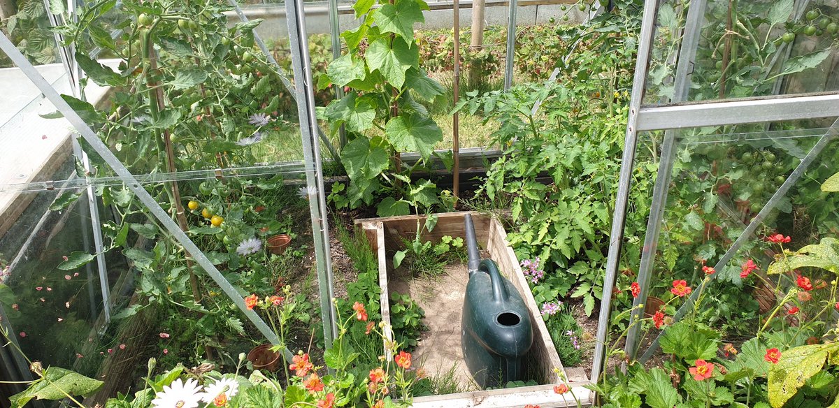 Plot16c2 tweet picture
