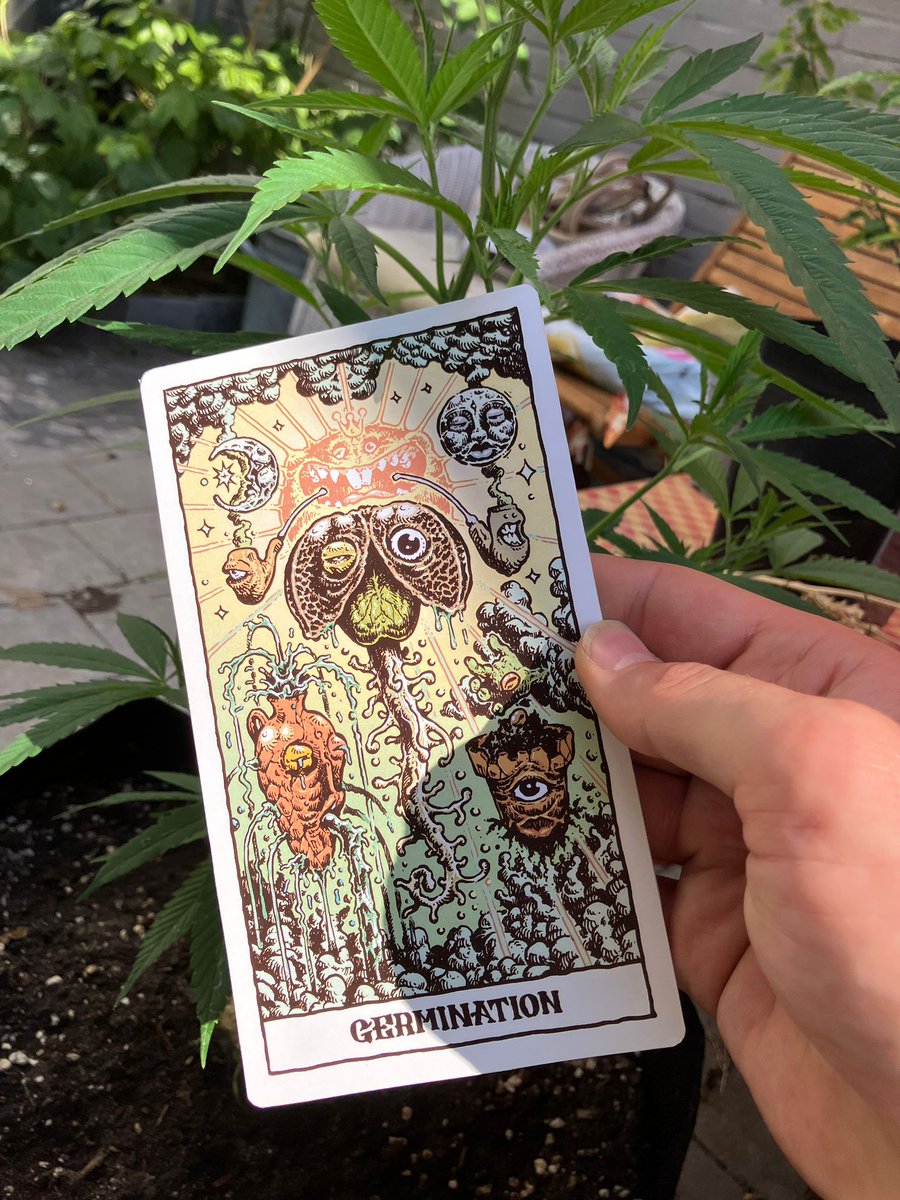 ReeferRascals's tweet photo. MotherPlant holders check your wallets! 😎

Germination has dropped! 🌳

Enjoy your sunday and Stay Mossy! 💚

#theMotherPlant #smokeemifyougotem #digitalart https://t.co/iDwjDPzndM