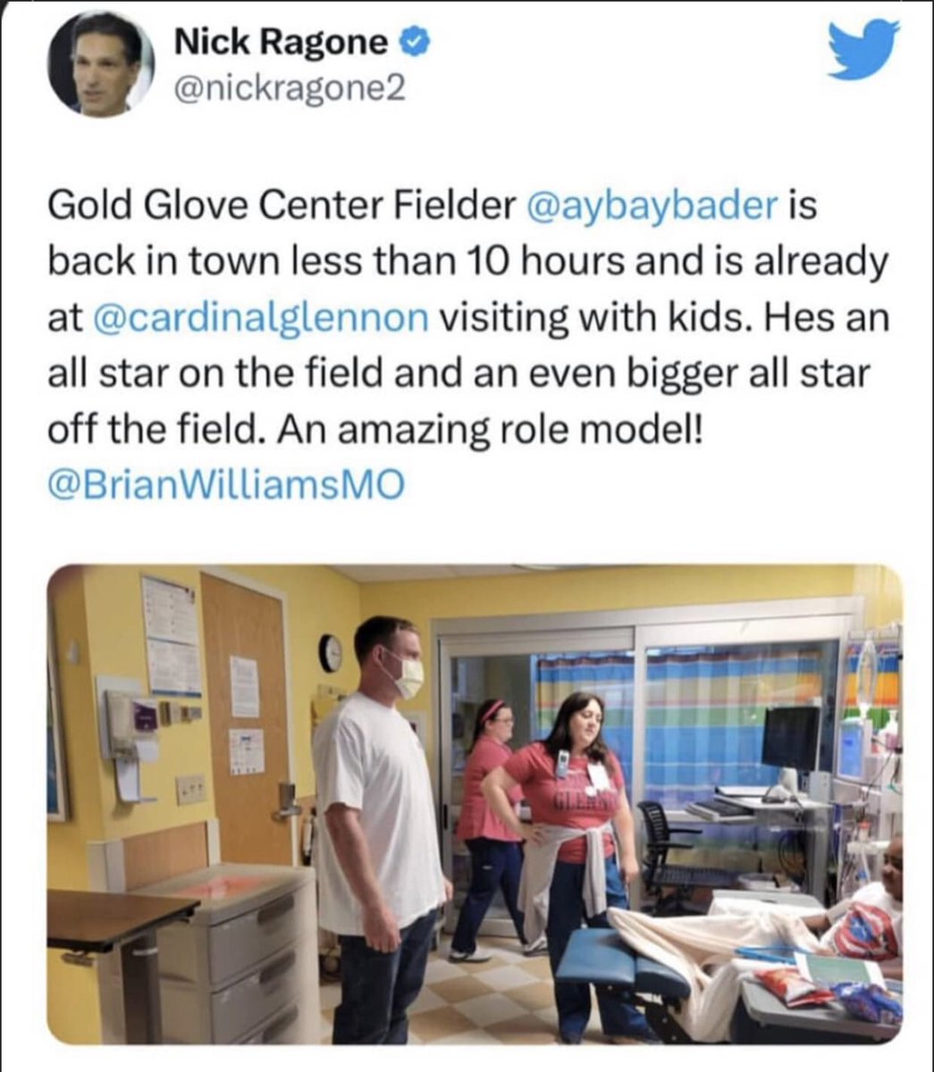 Stephanie tweet media
