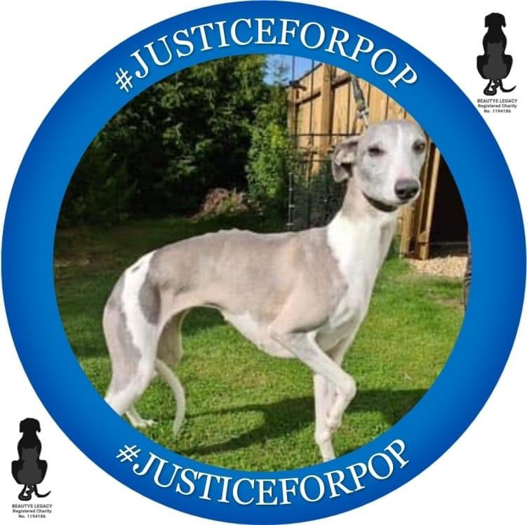 JusticeForPop1 tweet picture