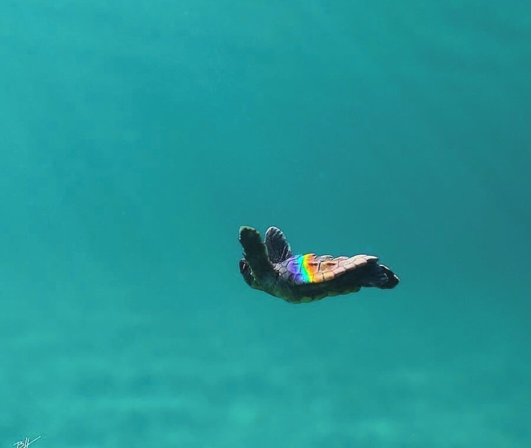 Visit and Shop our exhibition
🎨
Bring your home  energetic vibration with abstract 🎨
🎨🖌️🎨
🎨🖌️
🎨
etsy.com/shop/vheeeyepee