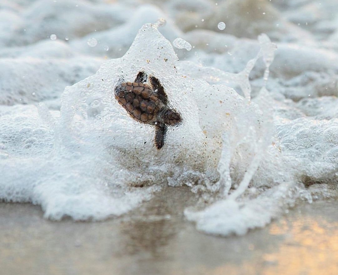 Visit and Shop our exhibition
🎨
Bring your home  energetic vibration with abstract 🎨
🎨🖌️🎨
🎨🖌️
🎨
etsy.com/shop/vheeeyepee