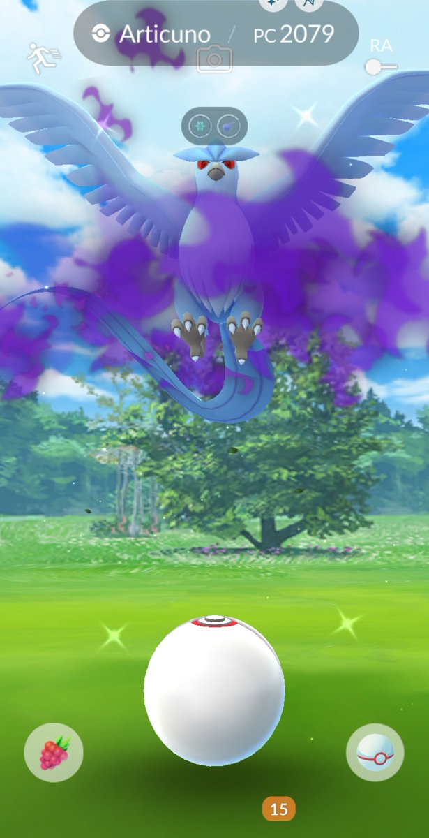 PokeDITTOx's tweet photo. Pensé que ya no lo lograba y justo en la penúltima raid...shiny Articuno oscuro✨

Ya tengo la pareja con Mewtwo‼️

#PokemonGO https://t.co/uy5qdXYiW7