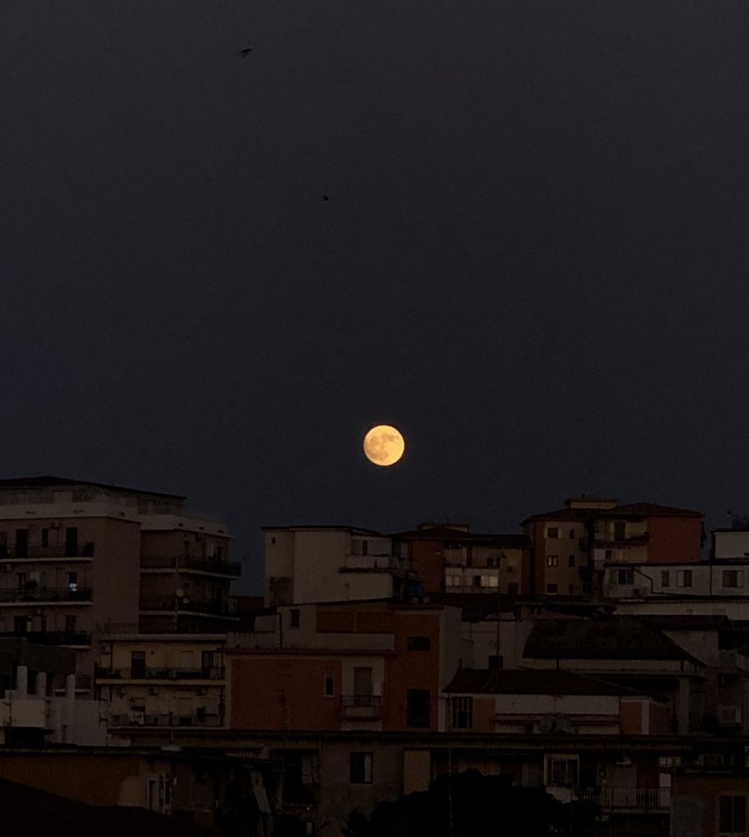 solita luna