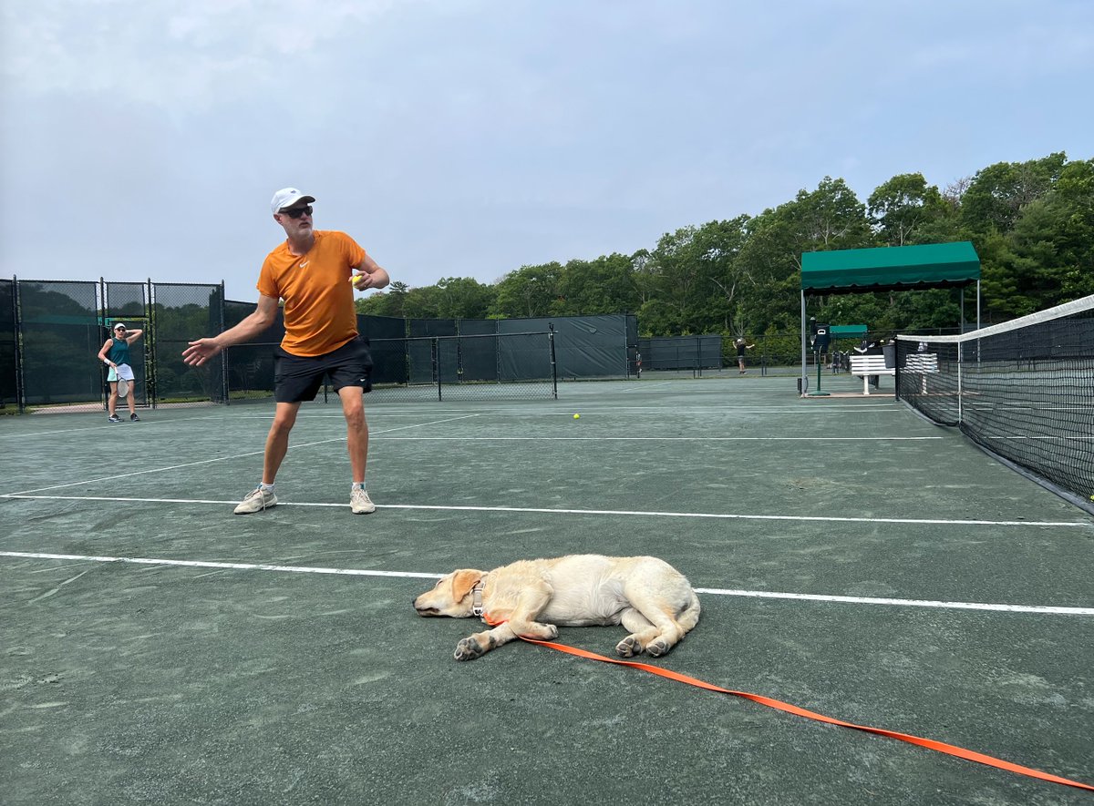 Stridequeen's tweet photo. This morning this five-month old puppy was so overwhelmed by my riveting tennis game on the next court that she passed out. That, or we put her to sleep, but I chose to believe the former. #EHIT https://t.co/FNoNxyFgfS