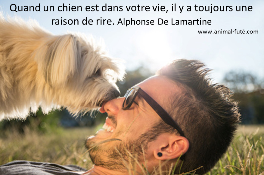 AnimalFute's tweet photo. https://t.co/HFJHUh6ZyB
#FaireGarderSonChienGratuitement https://t.co/4Yaxi2NlOa