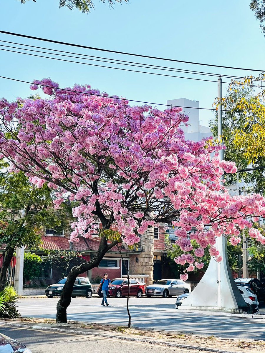 Embajada de Taiwán en Paraguay-中華民國駐巴拉圭大使館 tweet media