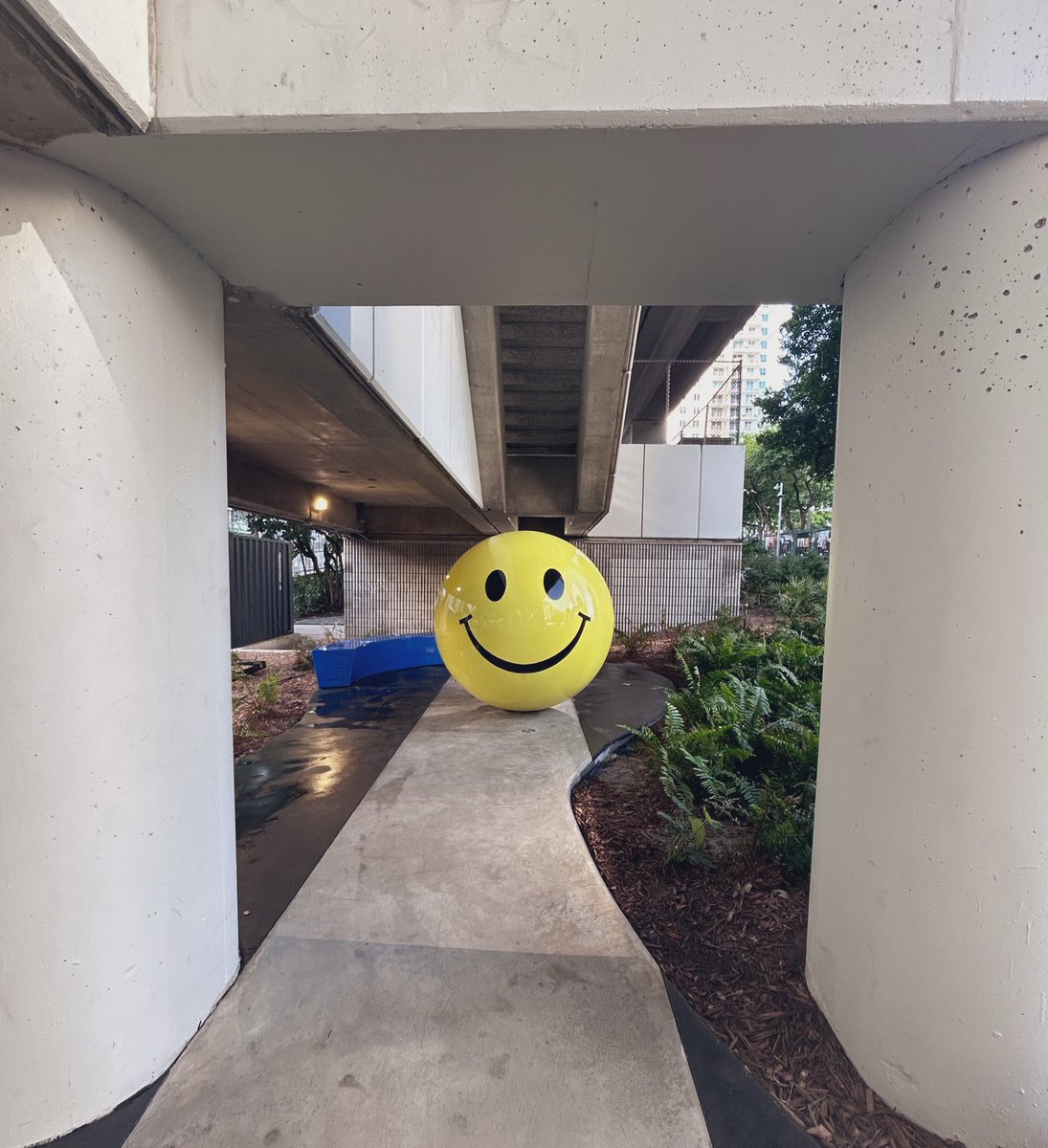 LNoguera17's tweet image. I had planned 13.1 miles today. Heat, sun and humidity stole 6 miles from me. Just a misstep along the way. #runrunrun 🏃🏻‍♂️