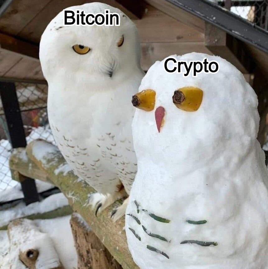 Hodlcat21's tweet photo. https://t.co/s7pXF6UOtY