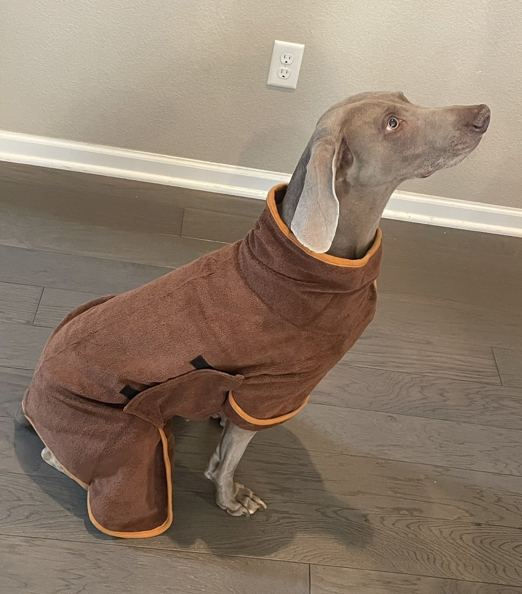 Paisleigh is another satisfied doggo customer. Make your pet happy this weekend with the Dry Dog jacket for pets! Use drydog10 for a limited timer discount 💙

Thedrydog.co