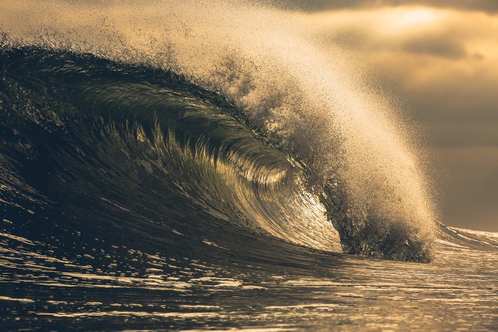 Ⓜ️ICHÆL🥤🌐 • 📷’er📍42°N | Emergence Edition x 20 tweet media