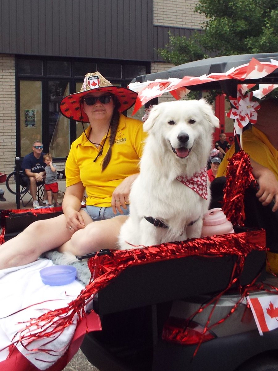 Windsor Parade Corp tweet media