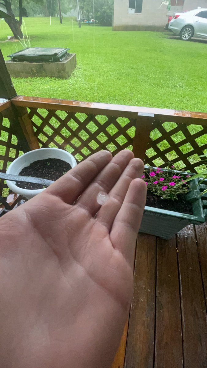 coe_marsh's tweet photo. @NWSLouisville pea sized hail in between Brandenburg and West Point https://t.co/ihGclRsct0