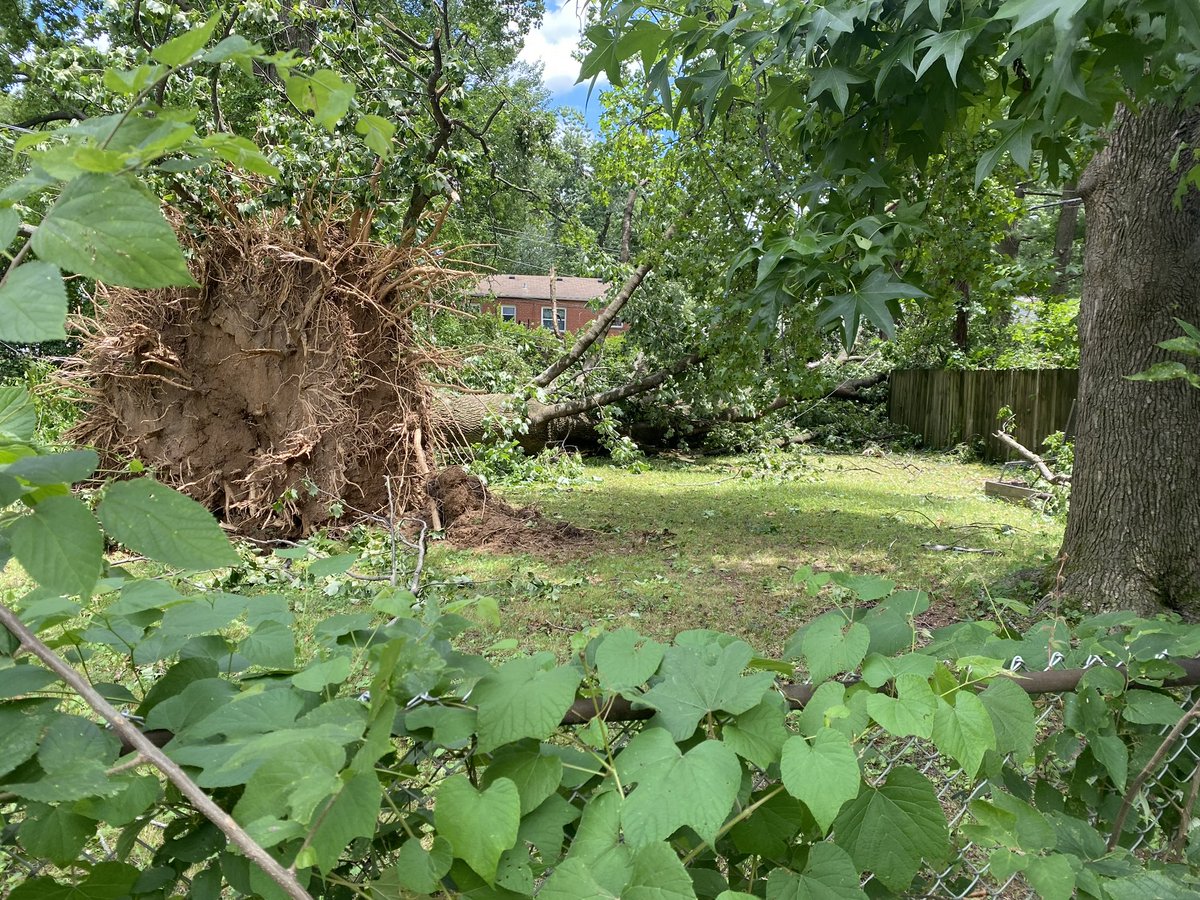 Courtaneyyy's tweet photo. Hey @UniversityCity this happened yesterday at the border of Mount Olive  Cemetery and no one has come out to look at it! Can someone come take a peek? https://t.co/TFvwwEqcKX
