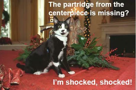 LOLCATSEth's tweet photo. Partridge flew the coop from your centerpiece? "I'm shocked, I'm shocked!" #LOLCATStoken is on the case, looking for clues. Was it the dog in the living room with a feather? Stay tuned for updates from our furry detectives! 😹🔍🐦 #CryptoMysteries #CatDetectives https://t.co/hskuNkcmcB