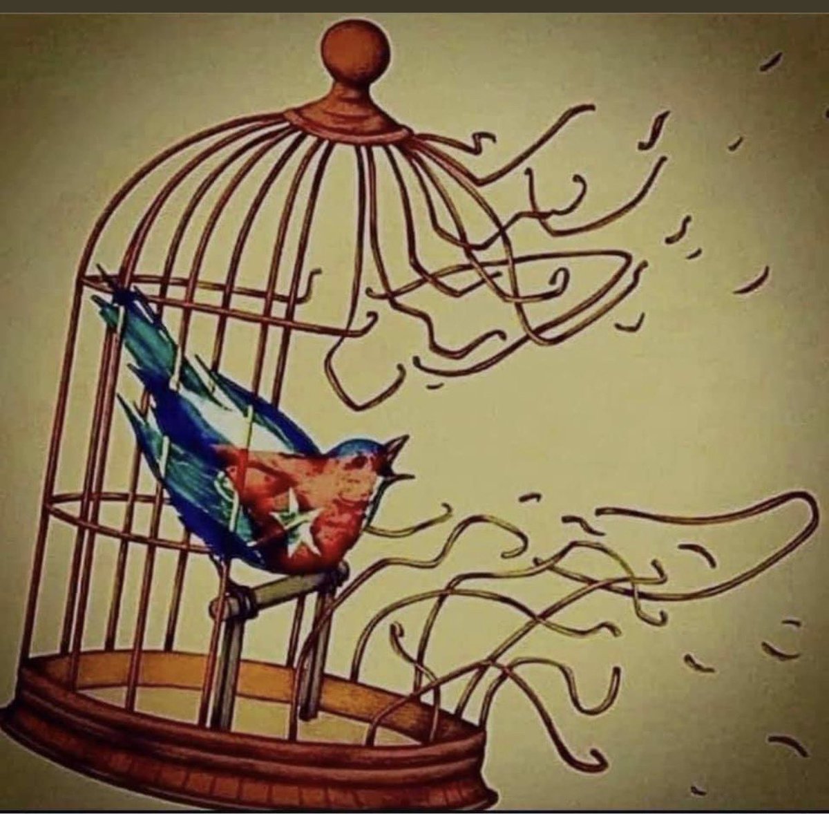 joaco537's tweet photo. Hi Todos Por Alguna Razón Estaba En Twitter Jail 😂🤣😂😂😂I Guess The #TruthHurt , But Fk If You Cant Beat Them ,Sure Let Them Know Donde You Stand #FreeCuban #AntiCommunist #TrulyLibertarian #ICalledLikeItIs #DontTreadOnMe #FkTheGlibalistSwamp #NuclearMAGA 🇨🇺🇺🇸💯🆓 https://t.co/neKF2KfPhl