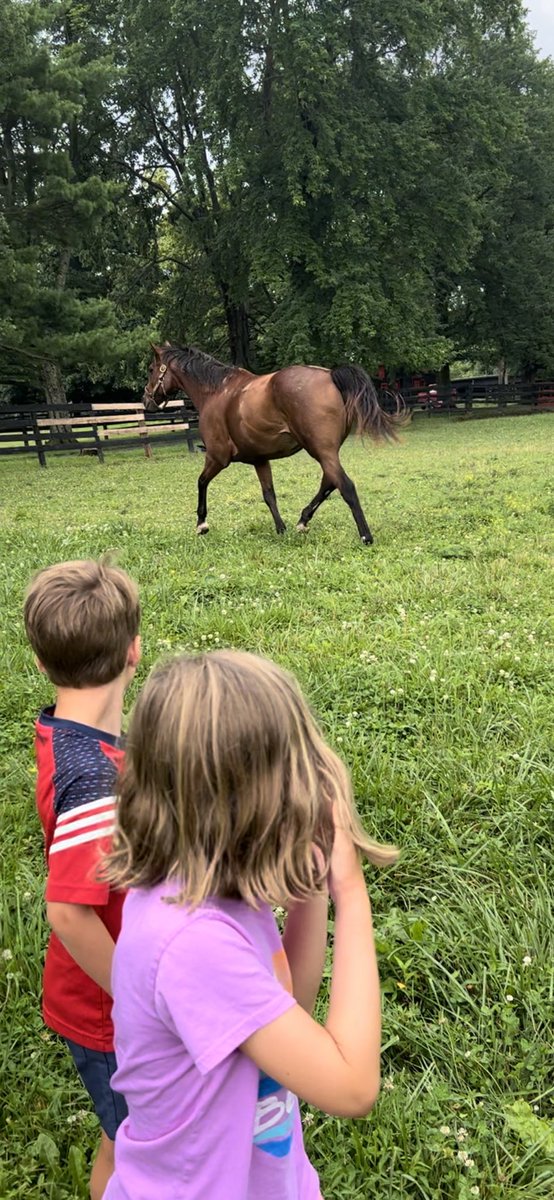 ctmurphy28's tweet photo. Seven years ago today this legend took the Gr.2 King Edward Stakes in Woodbine. Looking sharp as ever enjoying retirement. #Dimension https://t.co/MwTckxIMPz