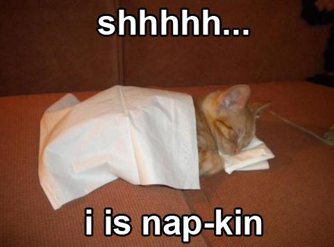 LOLCATSEth's tweet photo. "Shhhhhhh... I is nap-kin." When your cat gives you the purrfect excuse to put off work and take a nap. Our #LOLCATStoken can take care of business while you and your feline friend catch some Zs. Sweet dreams, crypto warriors! 😹💤💼 #CryptoNaps #NapkinLife https://t.co/VjO3VrtmRj