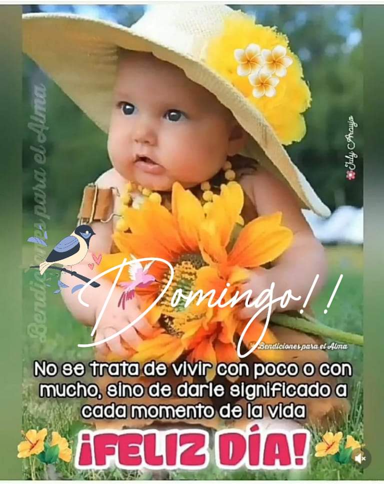 tuitero de Aragua tweet media