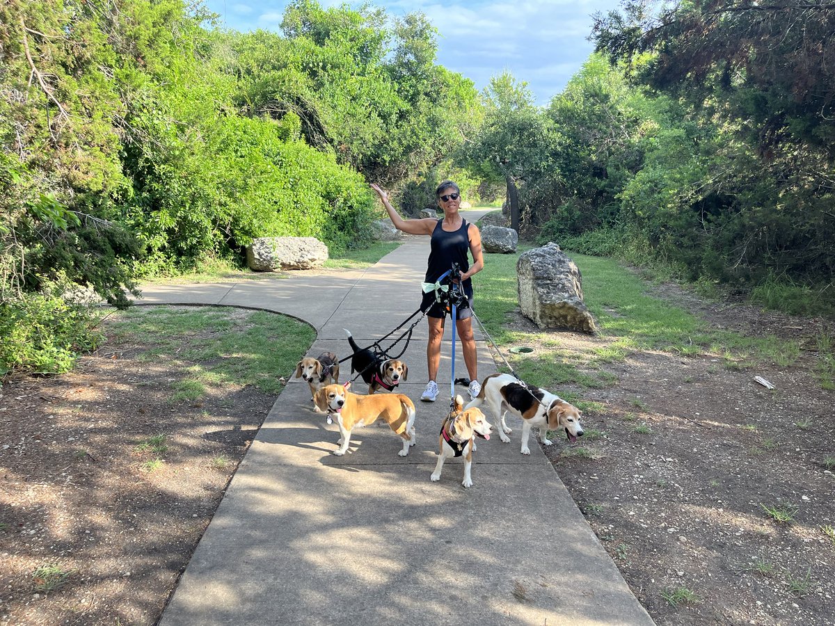 Barb Looney tweet media