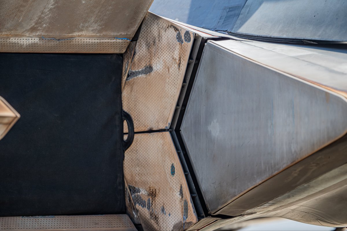 Dylan Nguyen tweet media