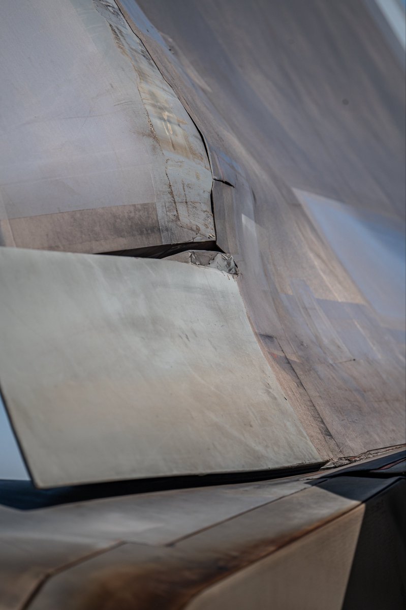 Dylan Nguyen tweet media