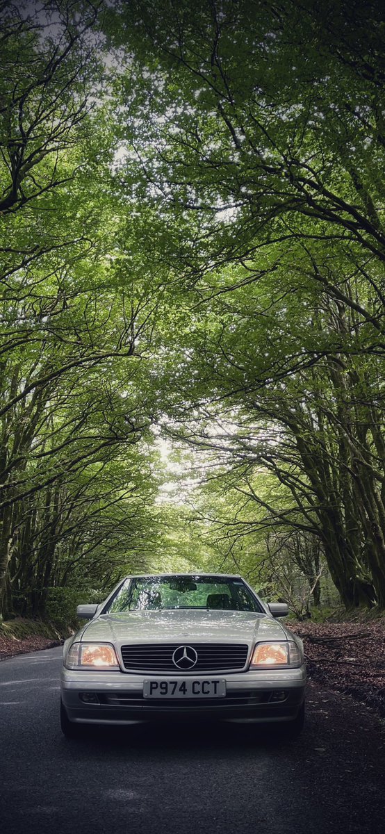 thisdevon's tweet photo. Driving down #devon lanes #canopy #treearch #mercedessl #r129club #sundaydrive #thisdevon https://t.co/Ovp48gNk1c