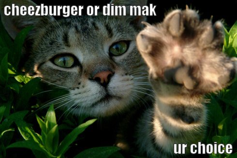 LOLCATS tweet media