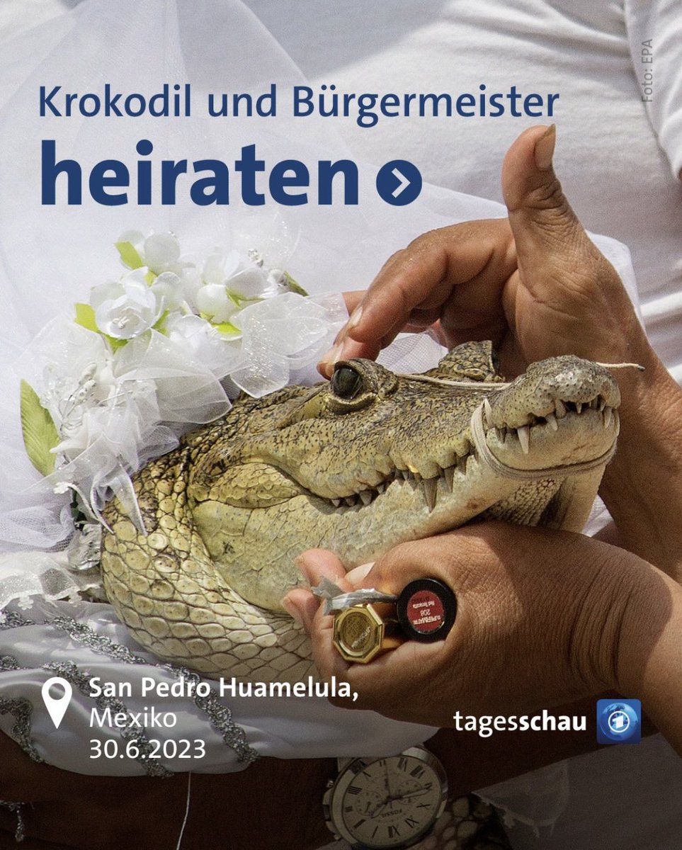 mooselmeier's tweet photo. Junge Liberale die seit Jahren versuchen Sex mit der eigenen Cousine zu legitimieren hassen diesen Trick https://t.co/vLnRVueL30